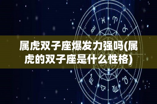 属虎双子座爆发力强吗(属虎的双子座是什么性格)