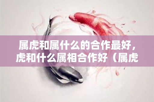 属虎和属什么的合作最好，虎和什么属相合作好（属虎的人和属什么的人可以合作招财）