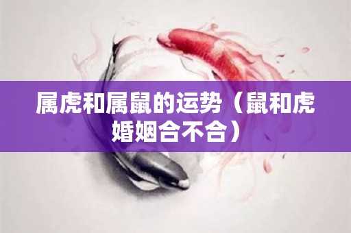 属虎和属鼠的运势（鼠和虎婚姻合不合）