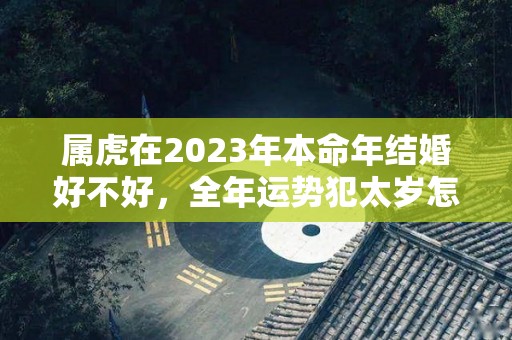 属虎在2023年本命年结婚好不好，全年运势犯太岁怎么化解（属虎2022年本命年能结婚吗）