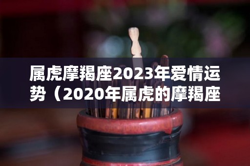 属虎摩羯座2023年爱情运势（2020年属虎的摩羯座的运怎么样）