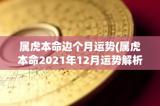 属虎本命边个月运势(属虎本命2021年12月运势解析)