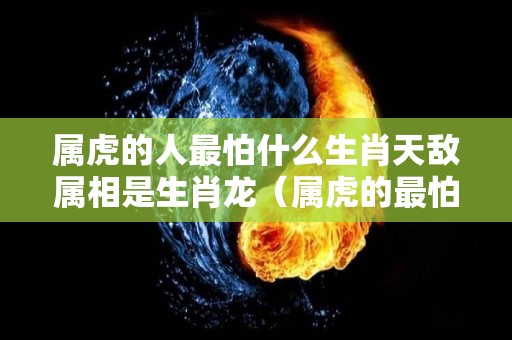 属虎的人最怕什么生肖天敌属相是生肖龙（属虎的最怕的三个）
