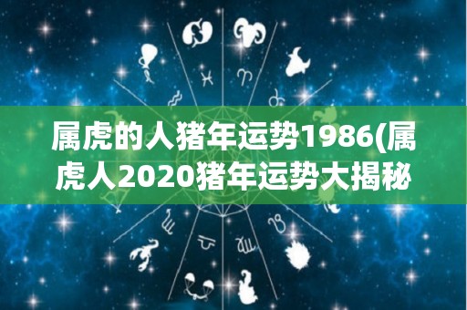 属虎的人猪年运势1986(属虎人2020猪年运势大揭秘)