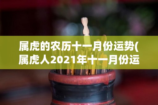 属虎的农历十一月份运势(属虎人2021年十一月份运势解析)