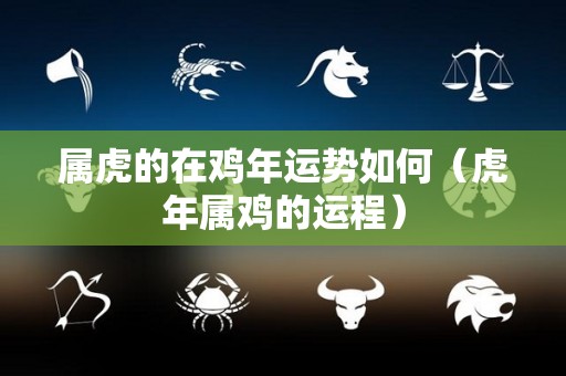 属虎的在鸡年运势如何（虎年属鸡的运程）