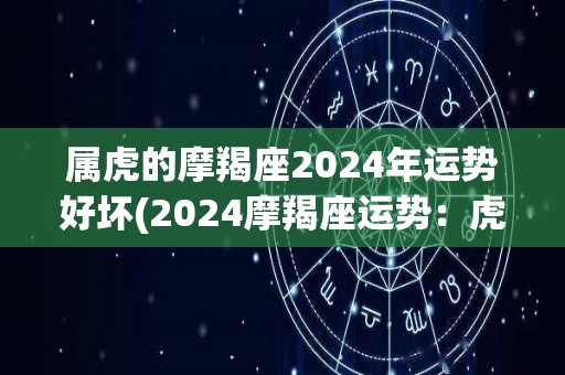 属虎的摩羯座2024年运势好坏(2024摩羯座运势：虎年里财源广进、事业突破)