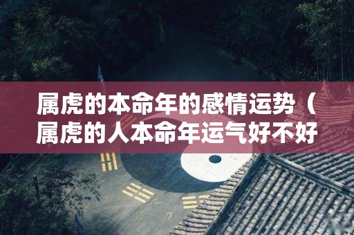 属虎的本命年的感情运势（属虎的人本命年运气好不好）
