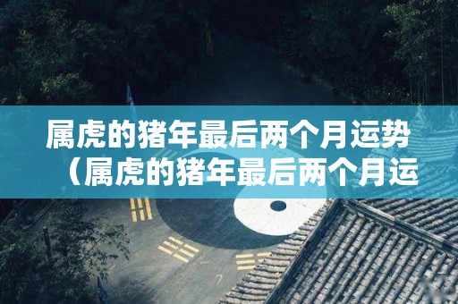 属虎的猪年最后两个月运势（属虎的猪年最后两个月运势怎么样）