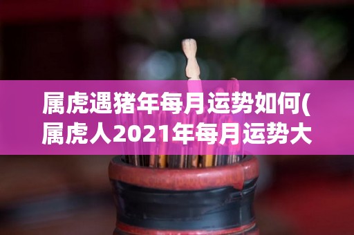 属虎遇猪年每月运势如何(属虎人2021年每月运势大揭秘！)