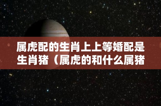 属虎配的生肖上上等婚配是生肖猪（属虎的和什么属猪最配）
