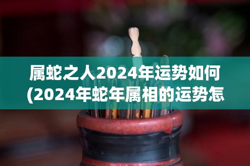 属蛇之人2024年运势如何(2024年蛇年属相的运势怎么样？)