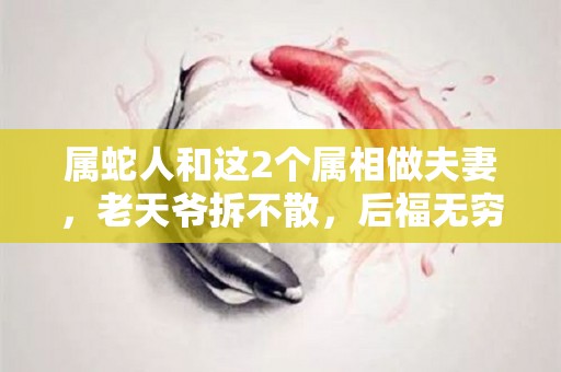 属蛇人和这2个属相做夫妻，老天爷拆不散，后福无穷（属蛇的人和）