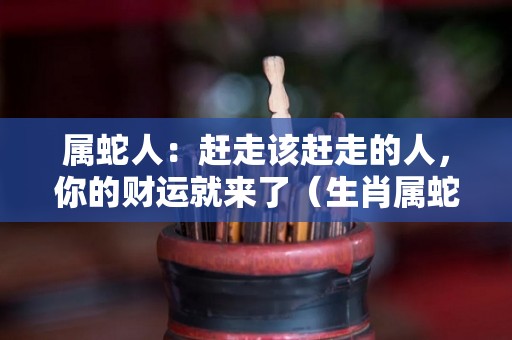 属蛇人：赶走该赶走的人，你的财运就来了（生肖属蛇人）