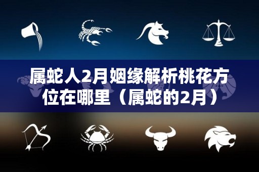 属蛇人2月姻缘解析桃花方位在哪里（属蛇的2月）