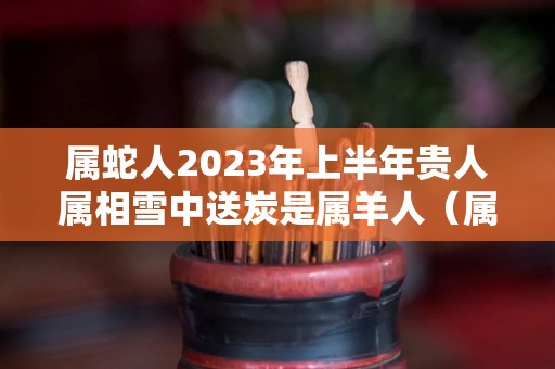 属蛇人2023年上半年贵人属相雪中送炭是属羊人（属蛇在2023年全年运势如何）