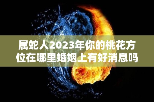 属蛇人2023年你的桃花方位在哪里婚姻上有好消息吗（属蛇人在2023年的运势如何）