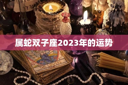 属蛇双子座2023年的运势
