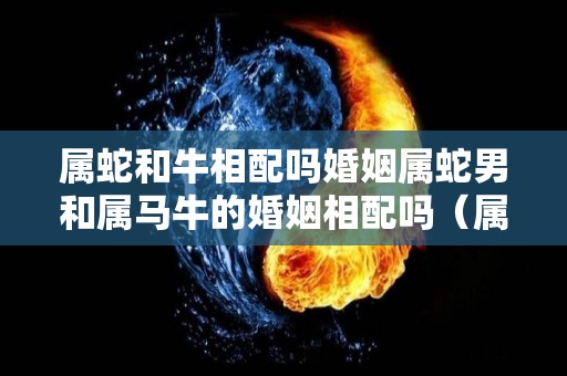 属蛇和牛相配吗婚姻属蛇男和属马牛的婚姻相配吗（属蛇和属牛的相配吗男牛女蛇）