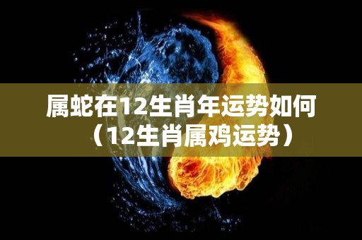 属蛇在12生肖年运势如何（12生肖属鸡运势）