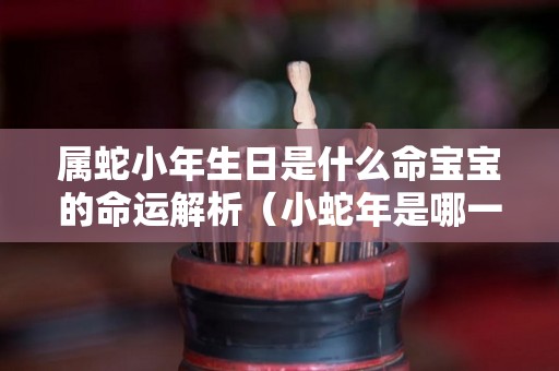 属蛇小年生日是什么命宝宝的命运解析（小蛇年是哪一年）