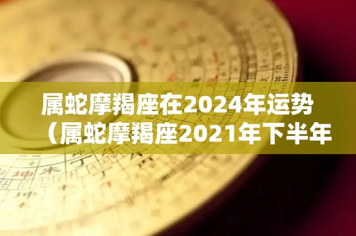 属蛇摩羯座在2024年运势（属蛇摩羯座2021年下半年运势）