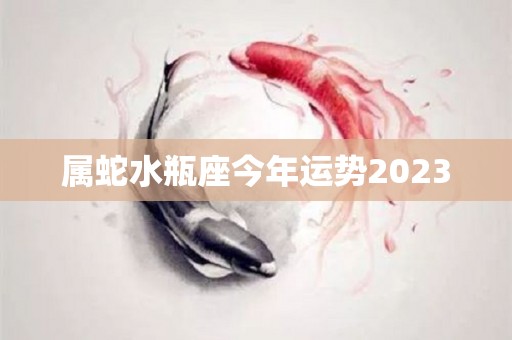 属蛇水瓶座今年运势2023