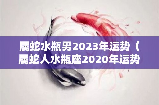属蛇水瓶男2023年运势（属蛇人水瓶座2020年运势）