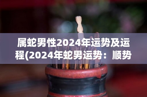 属蛇男性2024年运势及运程(2024年蛇男运势：顺势而为，善变应变，成功运势高。)