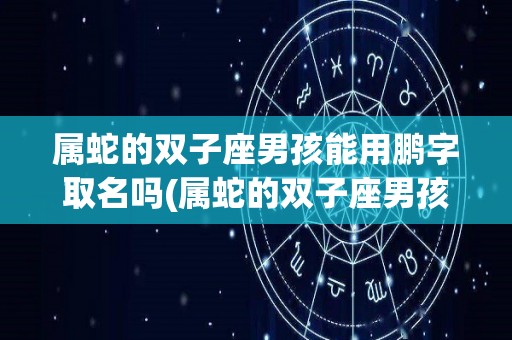 属蛇的双子座男孩能用鹏字取名吗(属蛇的双子座男孩能用鹏字取名吗好吗)