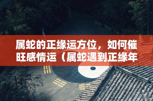 属蛇的正缘运方位，如何催旺感情运（属蛇遇到正缘年份）