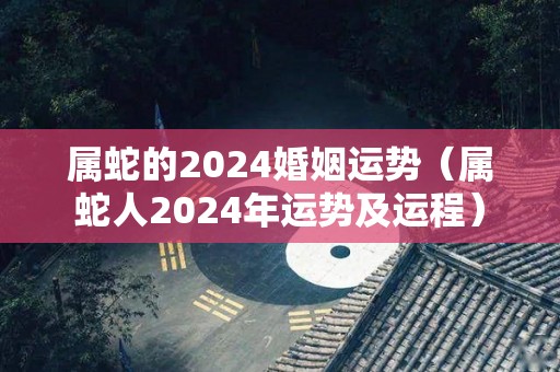 属蛇的2024婚姻运势（属蛇人2024年运势及运程）