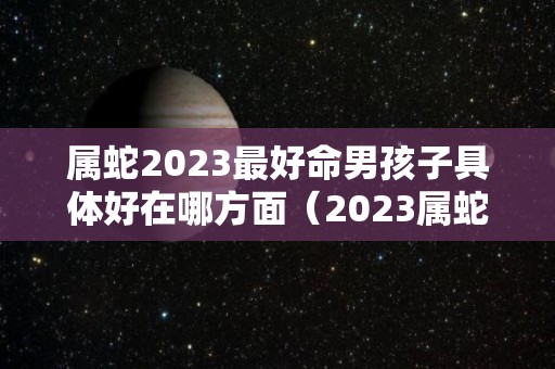 属蛇2023最好命男孩子具体好在哪方面（2023属蛇男人的运势和财运）