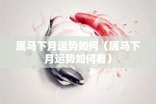 属马下月运势如何（属马下月运势如何看）