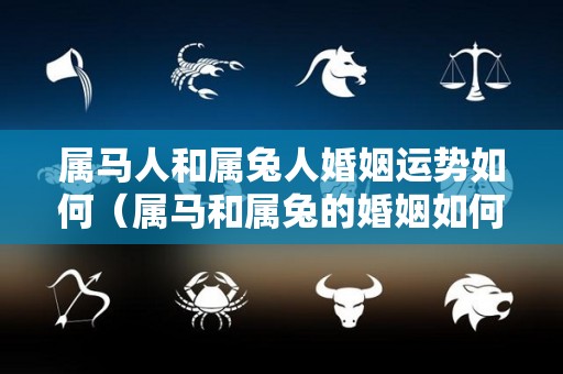属马人和属兔人婚姻运势如何（属马和属兔的婚姻如何 他们结婚好吗）