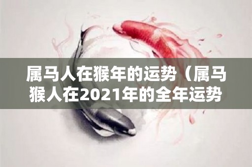 属马人在猴年的运势（属马猴人在2021年的全年运势）