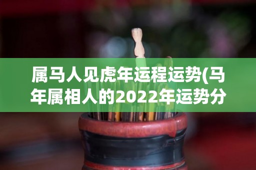 属马人见虎年运程运势(马年属相人的2022年运势分析)