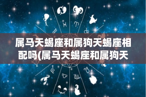 属马天蝎座和属狗天蝎座相配吗(属马天蝎座和属狗天蝎座相配吗婚姻)