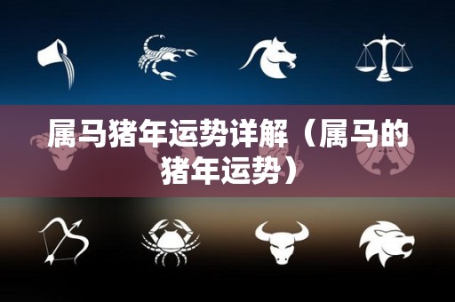 属马猪年运势详解（属马的猪年运势）