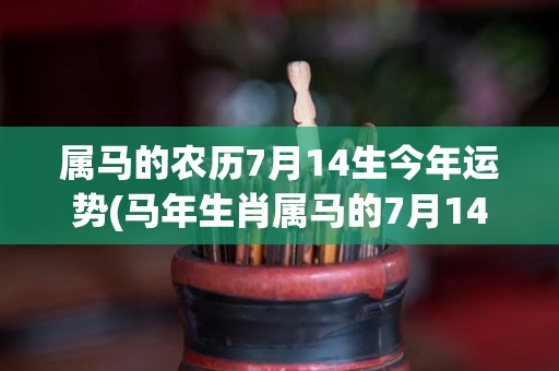 属马的农历7月14生今年运势(马年生肖属马的7月14日，2021年运势如何？)