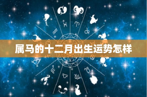 属马的十二月出生运势怎样