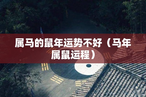属马的鼠年运势不好（马年属鼠运程）