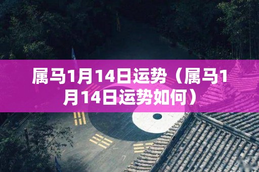 属马1月14日运势（属马1月14日运势如何）
