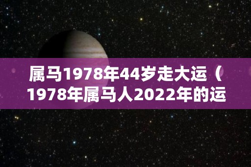属马1978年44岁走大运（1978年属马人2022年的运势）