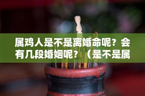 属鸡人是不是离婚命呢？会有几段婚姻呢？（是不是属鸡的人离婚率高）