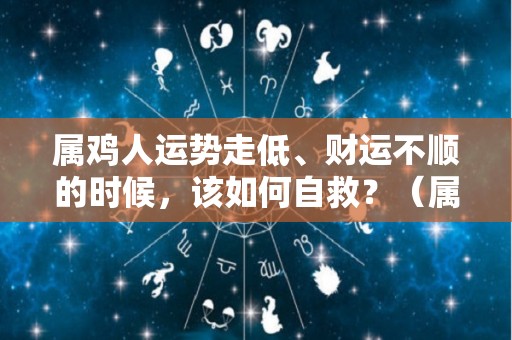 属鸡人运势走低、财运不顺的时候，该如何自救？（属鸡运气好不好）
