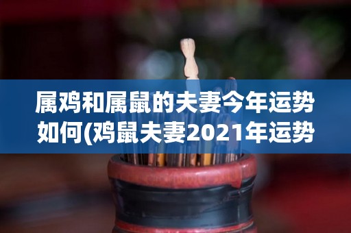 属鸡和属鼠的夫妻今年运势如何(鸡鼠夫妻2021年运势如何？)