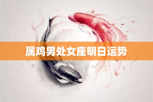 属鸡男处女座明日运势