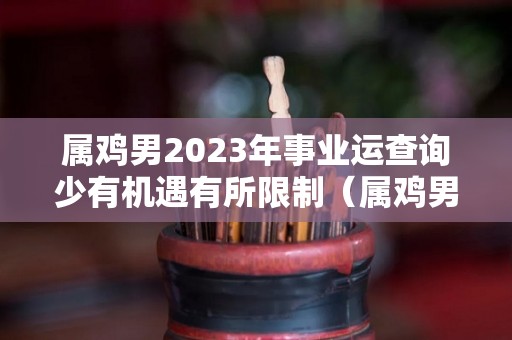 属鸡男2023年事业运查询少有机遇有所限制（属鸡男未来十年财运）