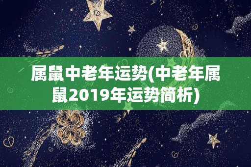 属鼠中老年运势(中老年属鼠2019年运势简析)